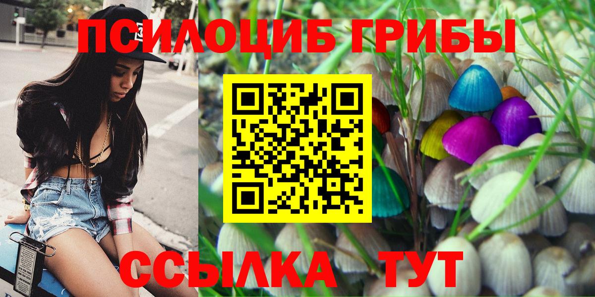 Галлюциногенные грибы Cubensis Амурск