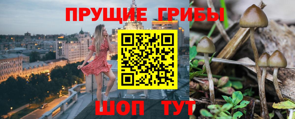 Амурск  Галлюциногенные грибы прущие грибы  цены наркотик  Вход с VPN  Галлюциногенные грибы прущие грибы 